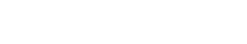  로고타입